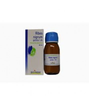 BOIRON RIBES NIGRUM GEMME MACERATO GLICERICO  60ML 